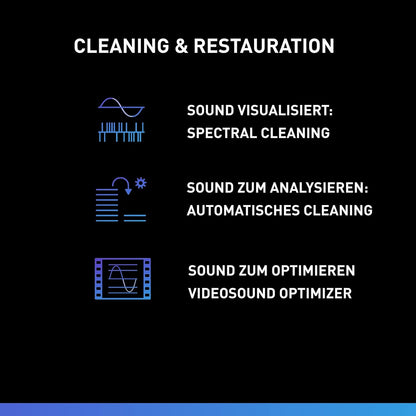 Magix Sound Forge Audio Cleaning Lab 4 - Instant Download for Windows