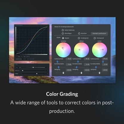 Magix Video Pro X 365 - Instant Download for Windows
