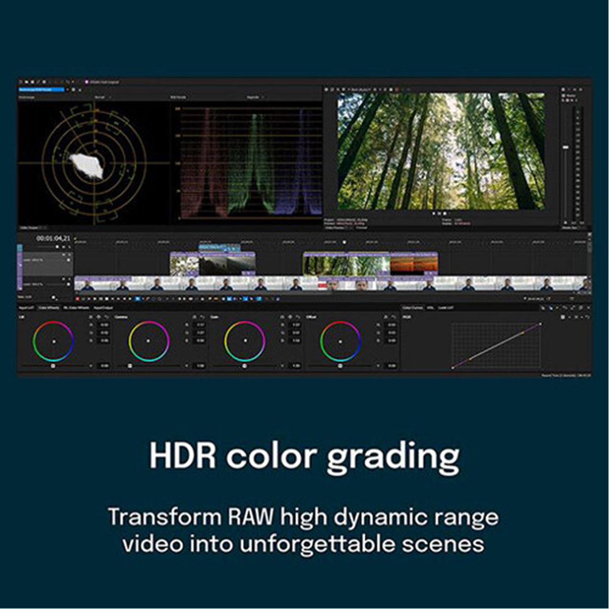 Magix Vegas Pro 365 - Instant Download for Windows