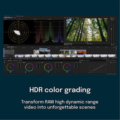 Magix Vegas Pro 365 - Instant Download for Windows