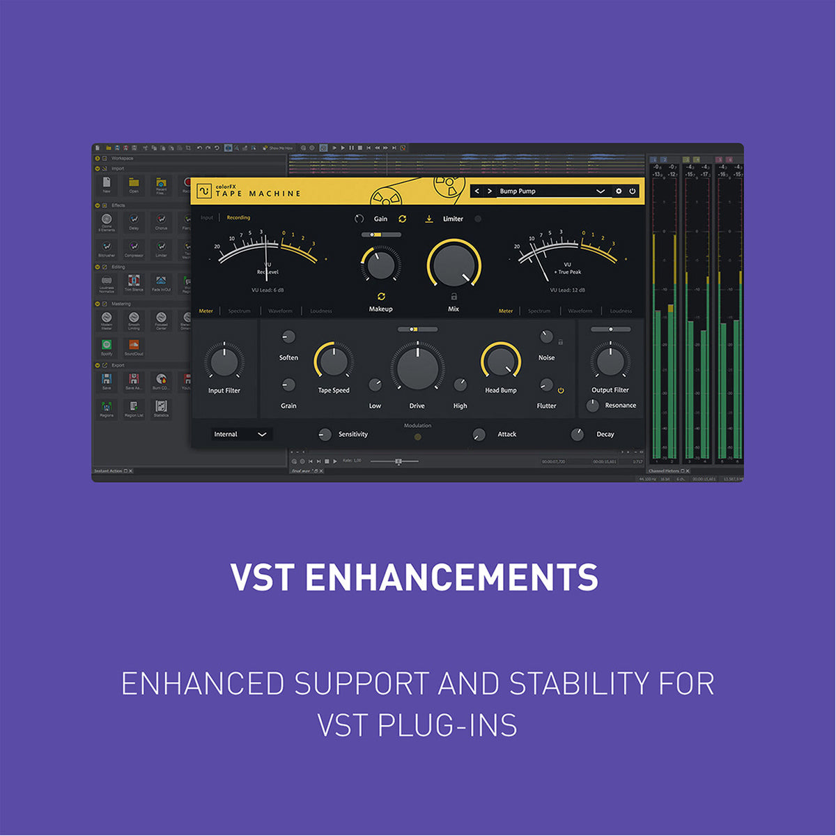 Magix Sound Forge Pro 365 - Instant Download for Windows