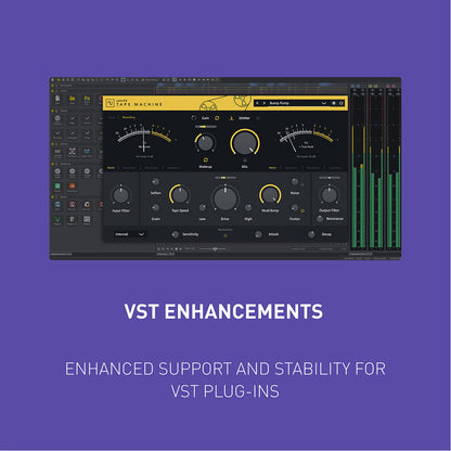 Magix Sound Forge Pro 365 - Instant Download for Windows