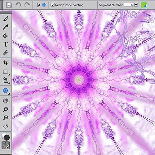 Corel Painter Essentials 5 - Instant Download for Windows