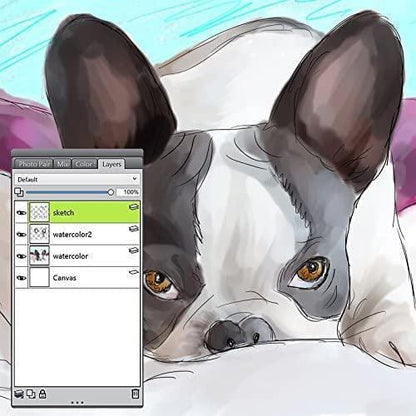 Corel Painter Essentials 5 - Instant Download for Windows
