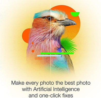 Corel PaintShop Pro 2022 - Instant Download for Windows