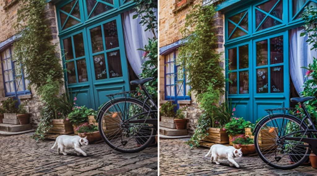 Corel PaintShop Pro X9 - Instant Download for Windows