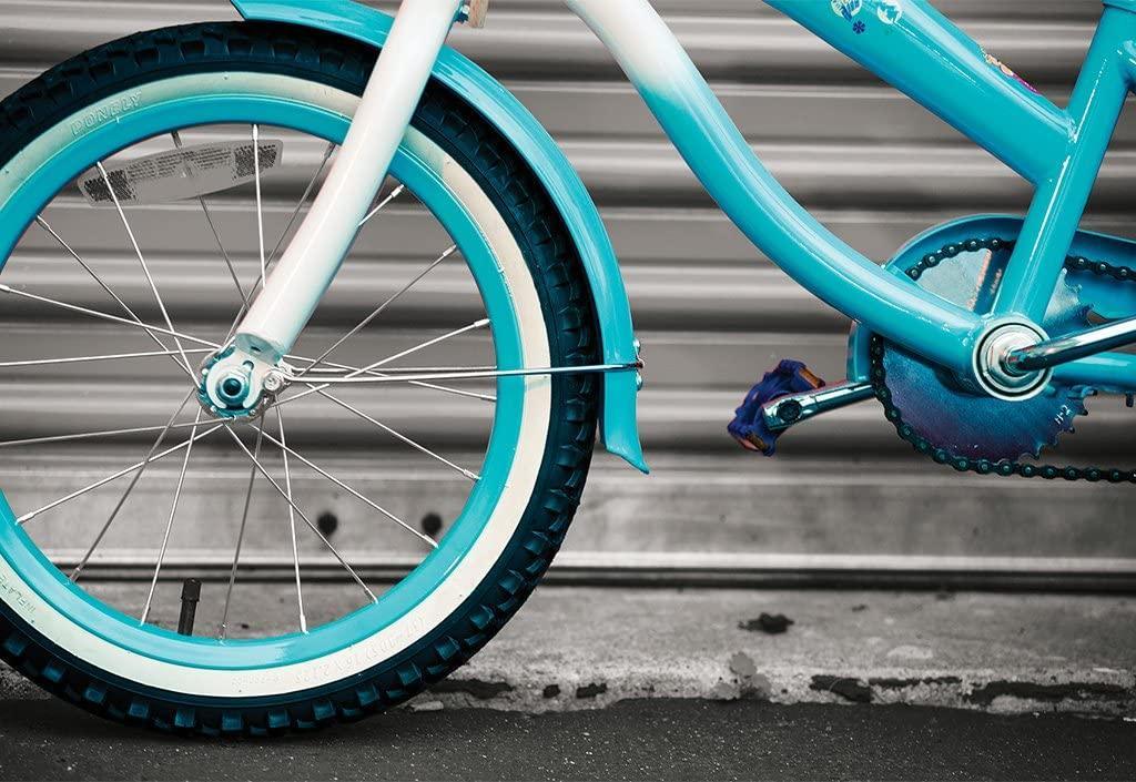 Corel PaintShop Pro X9 - Instant Download for Windows