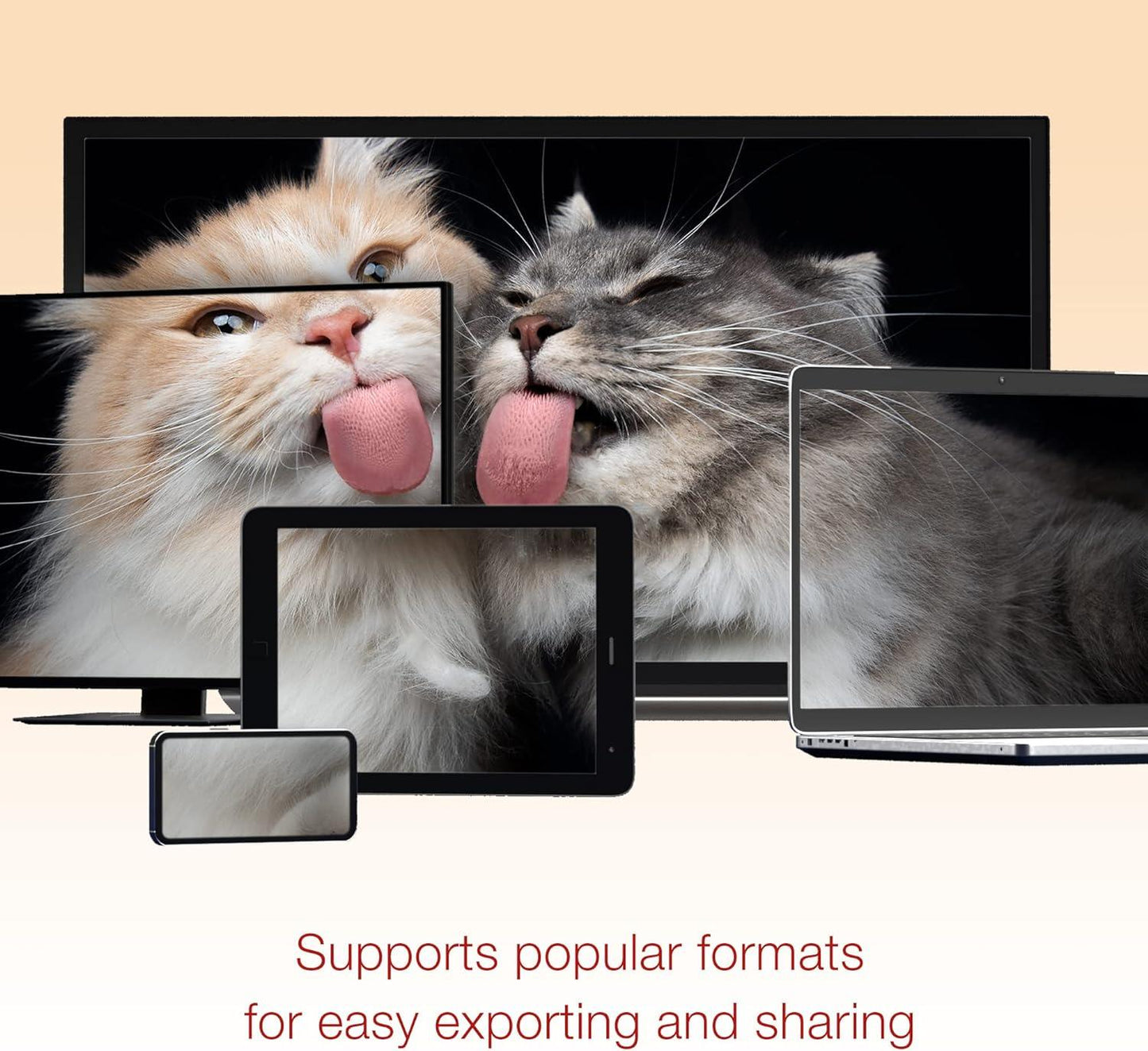 Corel VideoStudio Pro 2022 - Instant Download for Windows