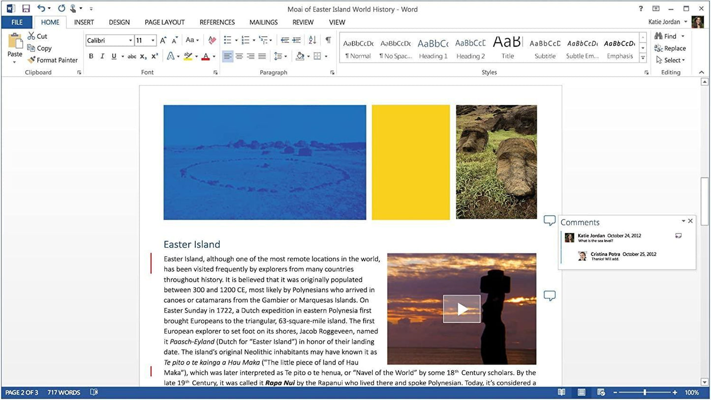 Microsoft Office Home and Business 2013 - Instant Download for Windows