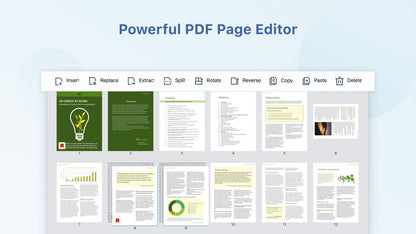 PDF Reader Pro - Instant Download for Windows